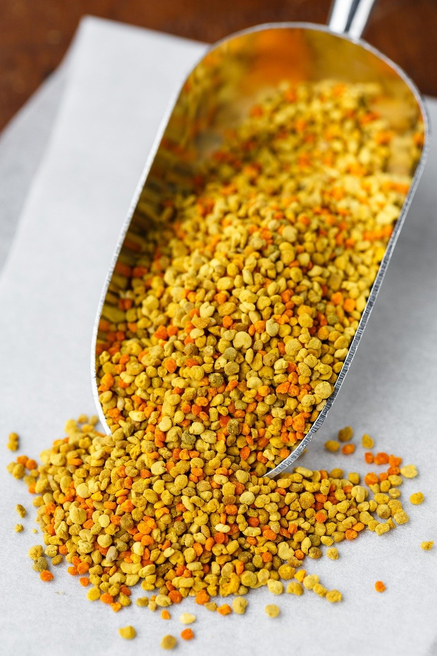 pollen, grain, yellow, natural, plant, bee, fresh, sweet, medicine, seeds, healthy, nature, apiculture, nutrition, vitamin, food, medicinal, medical, remedy, treatment, herbal, alternative, raw, therapy, scoop
